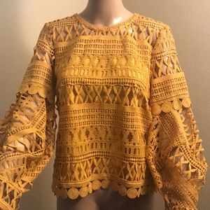 Gorgeous blouse